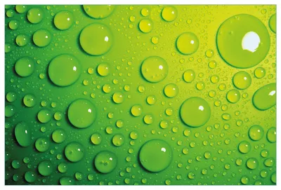 Produktbild von Wallario Küchenrückwand aus Glas, Größe: 90 x 60 cm, Motiv: Wassertropfen auf Grün | Spritzschutz | abwischbar | pflegeleicht | in
