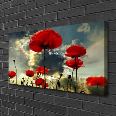 Produktbild von Tulup Leinwand-Bilder 100x50 Wandbild Canvas Kunstdruck Mohnblumen Pflanzen