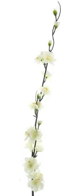 Produktbild von DPI Oster-Deko Kirschblütenzweig Weiß 100 cm - Kunstblumen