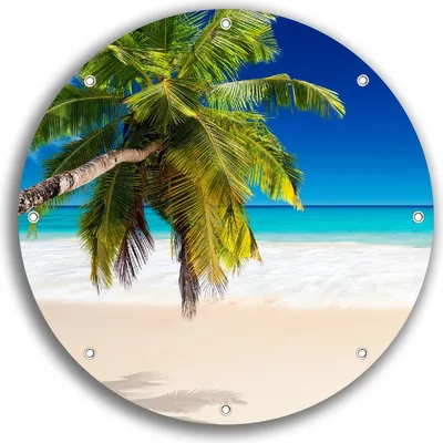 Produktbild von Wallario rundes Outdoor-Poster für Garten oder Balkon, Motiv Südseestrand in der Karibik mit Palme, 30 cm Durchmesser
