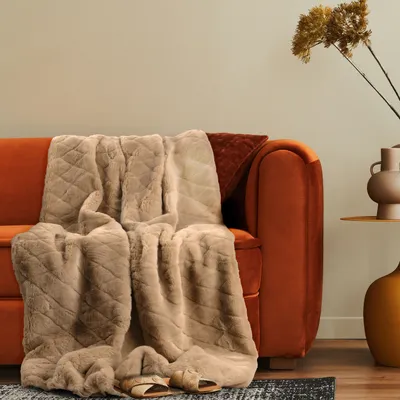 Produktbild von Deko Wohnzimmer Decke Kuscheldecke Tagesdecke Sofadecke Waschbar Schlafzimmer 200x240cm Beige