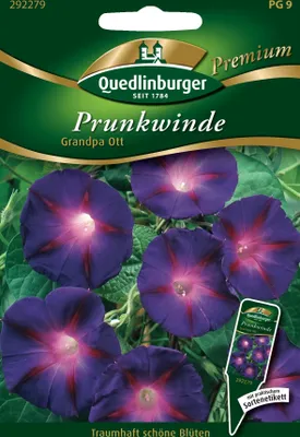 Produktbild von Prunkwinde, Grandpa Ott