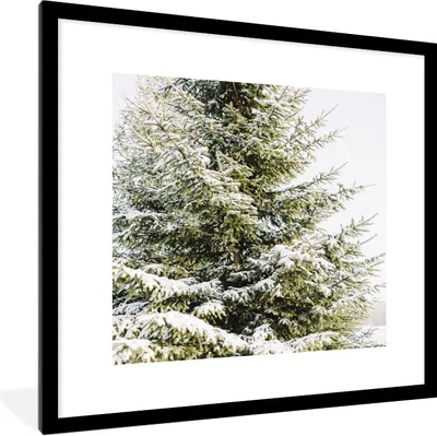 Produktbild von MuchoWow® Gerahmtes Poster Winter - Baum - Schnee 40x40 cm - Poster mit Schwarzem Bilderrahmen Wandposter Rahmen Foto Bilder - Poster - Plakat im Rahmen