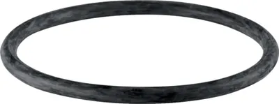Produktbild von Geberit GE PE Gummidichtung, zu Steckmuffe, für 379768 und 379791, d 50mm, 361789, 1 Stk.