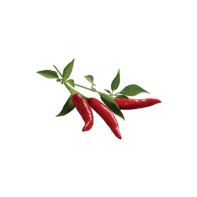 Obrázek produktu pro Click and Grow chilli papričky, kapsle se semínky a substrátem 3ks