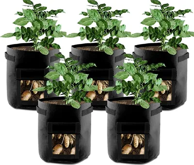 Image de pack de 5 sacs de 4 gallons planteur de jardin - bac de jardinage pour les légumes / pomme de terre / carotte / oignon / carotte en croissance - Noir