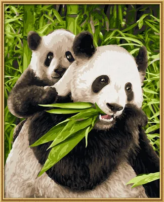Image de Jeux Noris Peinture par numéros - Pandas ; 609240712