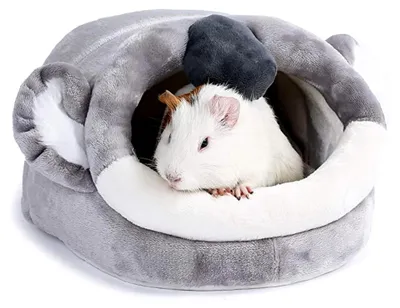 Produktbild von Kleintierhöhle für Chinchillas, Igel, Meerschweinchen, Käfigzubehör, Spielzeug für Bartagamen, Hamster, Frettchen und Ratten