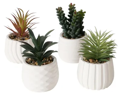 Immagine prodotto di Boltze Home Pianta artificiale in vaso bianco H14cm