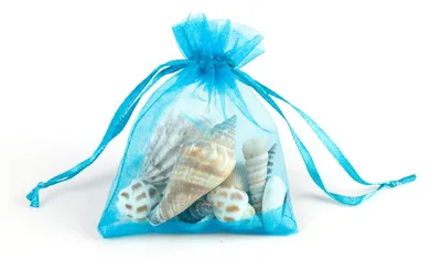 Produktbild von EDUPLAY 130306 Muscheln im Organzabeutel (Mitgebsel), natur