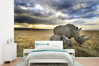 Produktbild von MuchoWow® Fototapete für Wohnzimmer oder Schlafzimmer Wandtapete Vinyl Motivtapete Rhinozeros - Kalb - Tiere - 330x220 cm - Fototapeten