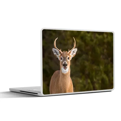 Produktbild von MuchoWow® Laptop Aufkleber Sticker Cover Hirsche - Hirschkopf - Natur 30x21 cm - Sticker für Laptop - Selbstklebend