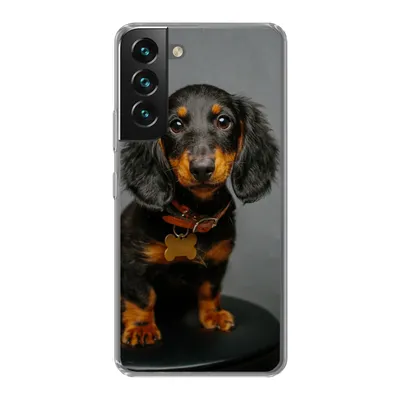 Produktbild von MuchoWow® Handyhülle Schutzhülle Hülle für Samsung Galaxy S22 Studiofoto eines Dackelwelpen Silikon Softcase Handy Hülle - Mobiltelefonhülle