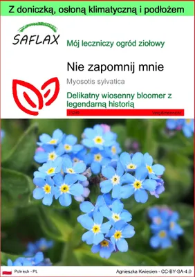 Zdjęcie produktu dla SAFLAX - Garden to go - Nie zapomnij mnie - 150 Nasiona - Z doniczką, pokrywą klimatyczną i podłożem do uprawy - Myosotis sylvatica
