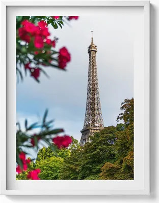 Produktbild von Eiffelturm in Blumen - Paris, Frankreich– Wandbild mit Rahmen – Gerahmtes Bild  – Wanddekoration – 60x80 cm –  Weiß Rahmen