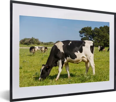 Produktbild von MuchoWow® MuchoWow® Gerahmtes Poster Kuh - Gras - Tiere - Wald 40x30 cm - Poster mit zchwarzem Bilderrahmen - Bilderrahmen - Poster im Rahmen