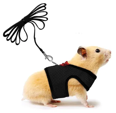 Produktbild von Meerschweinchen Geschirr Mit Leine Schwarz S, Weiches Nylonmesh Mit Schleife Und Klingel, Bequemes Ohne Zug-Geschirr Für Meerschweinchen Ferret Chinchilla