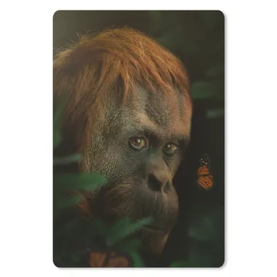 Produktbild von MuchoWow® Mauspad Mousepad Dschungel - Affe - Schmetterling 18x27 cm - Mousepads - Maus Mat - Pad - Mausunterlage