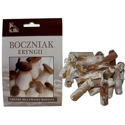 Obrázek produktu pro PLANTO Hlíva máčková (Pleurotus eryngii) 20 ks - podhoubí na kolících PO-HM-20KS