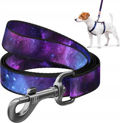 Produktbild von WAUDOG Nylon Hundeleine NASA21 Größe M Bunt