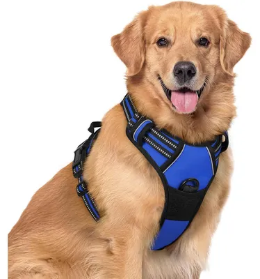 Image de Harnais pour chien anti-traction avec contrôle, réglable, respirant, réfléchissant, couleur bleue, taille XL