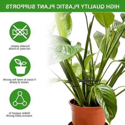 30 Stück Pflanzenstützclips für den Garten, Unterstützung für Kletterpflanzen, grüne Stäbe für Tomaten und Gemüse