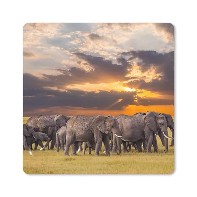 Produktbild von MuchoWow® Mauspad Mousepad Elefant - Tiere - Gras - Sonnenuntergang - Natur 20x20 cm - Mousepads - Maus Mat - Pad - Mausunterlage - Desk Mat - Bureauartikeln