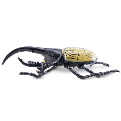 Produktbild von Toymany ML00424 Fünfhorn-Nashornkäfer 7,9 cm Reptilienreich