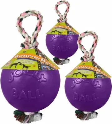 Immagine prodotto di Palla per cani Jolly Pets Romp-n-Roll 10 cm viola