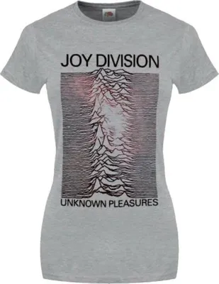 Produktbild von Joy Division Space Lady Heather Grey S Damen T-Shirt