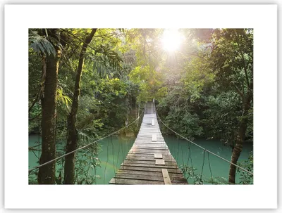 Produktbild von Poster - Poster ohne Rahmen - Brücke Seil Dschungel - 40x30 cm - Wand Bild - Wanddeko - Wandbilder - Kunstposter - Wandposter - Bilder - Kunstdruck - Wanddekoration - Wandbild - P2XAA40x30-4397