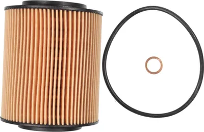 Immagine prodotto di Filtro olio per autoveicoli OX 154/1 D Eco