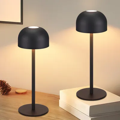 Two black cordless LED table lamps are displayed on a wooden surface, one in the foreground and one slightly behind and to the right. A pinecone and a wooden coaster are visible to the left of the foreground lamp. A stack of books is placed under the lamp 