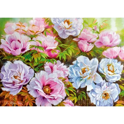 Produktbild von CHERRY PAZZI Puzzle Poenyssimo Opus 1000 Teile
