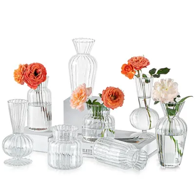 Produktbild von Solidchoice – Set aus 8 Mini-Glasvasen für Blumen