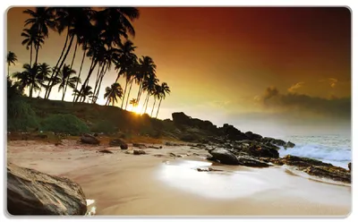 Produktbild von Wallario Frühstücksbrettchen aus Glas, je 14 x 23 cm, mit rutschfesten Füßen, Motiv Sri Lanka - Palmenstrand mit Sonnenuntergang