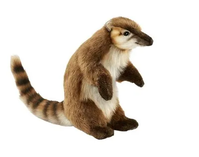 Produktbild von Hansa Toy 5888 Nasenbär 27 cm Kuscheltier Stofftier Plüschtier