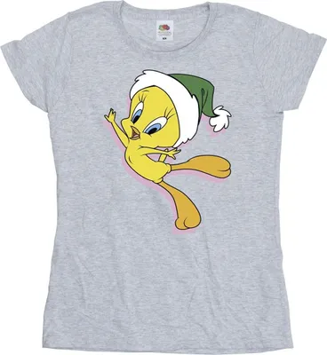 Produktbild von Looney Tunes - T-Shirt für Damen BI28913 (S) (Grau)
