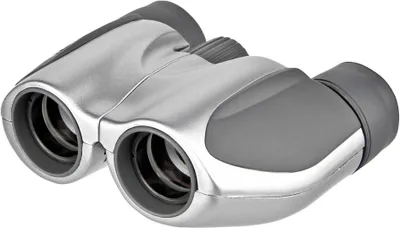Image de Olympus 10x21 DPC I, 170 x 41 x 82 mm, 170 g