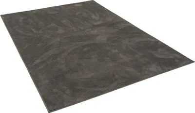 Produktbild von Luxus Super Soft Hochflor Langflor Teppich Deluxe, Größe:200x300 cm, Farbe:Anthrazit