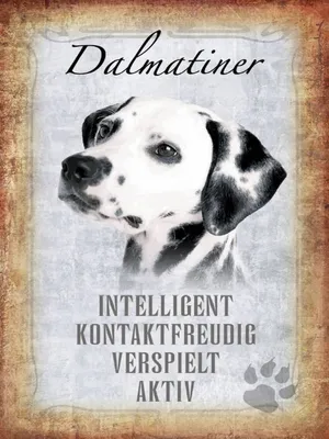 Produktbild von vianmo Holzschild 40x30 cm Dalmatiner Hund