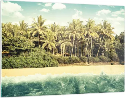Produktbild von Bilder auf glas - Einteilig - Natur Strand Palmen - 120x80cm - Glasbilder - Wandbilder - Bilder - zum Aufhängen bereit - Wanddekoration aus Glas - Glas Bilder - Wandbild auf Glas - GAA120x80-4915