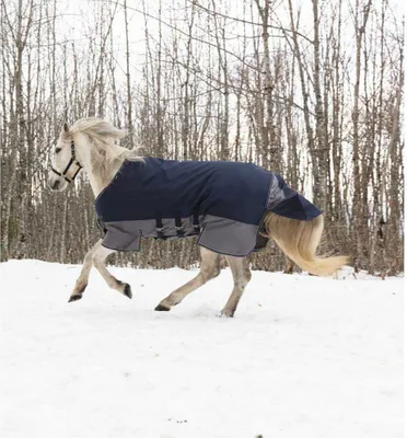 Immagine prodotto di Cintura addominale Equithème Tyrex 600D - blu navy/grigio