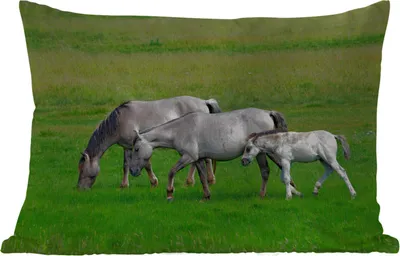 Produktbild von MuchoWow® Outdoor Kissen - Pferde - Tiere - Gras - 60x40 cm - Wetterfest - Lounge Kissen - Zierkissen - Kissen für Innenräume