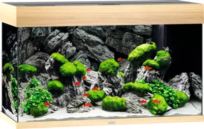 Produktbild von Aquarium JUWEL Rio 125 mit LED-Beleuchtung, Pumpe, Filter, Heizer ohne Unterschrank helles Holz