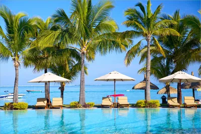 Produktbild von Wallario selbstklebendes Poster - Sonnenschirme am Südsee-Palmenstrand mit blauem Meer-Wasser, Größe: 61 x 91,50 cm