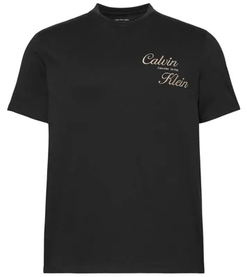 Productafbeelding van T-shirt Calvin Klein LV04RG804G-UB1 voor Heren