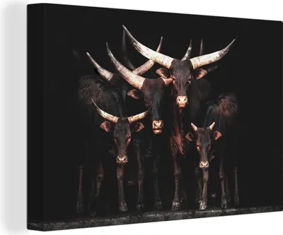 Produktbild von MuchoWow® - Leinwandbilder - Kuh - Watussi - Schwarz - Hörner, Wandbild, Wanddeko Bilder Wohnzimmer, 120x80cm