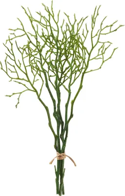 Produktbild von Heidelbeer Zweig, 3 Stück, ca. L 24 cm