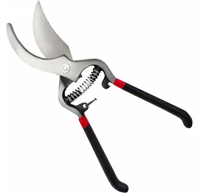 Produktbild von Manuelle Gartenschere für Sträucher und Äste 20,5 cm